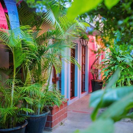 Hotel Las Golondrinas オアハカ州 エクステリア 写真