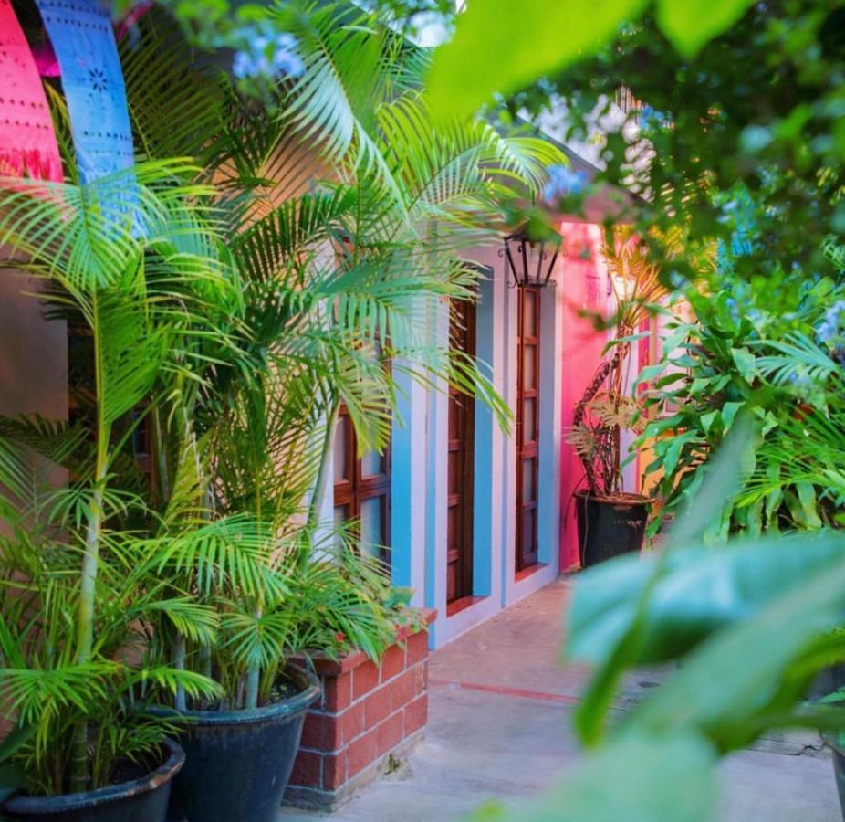Hotel Las Golondrinas オアハカ州 エクステリア 写真