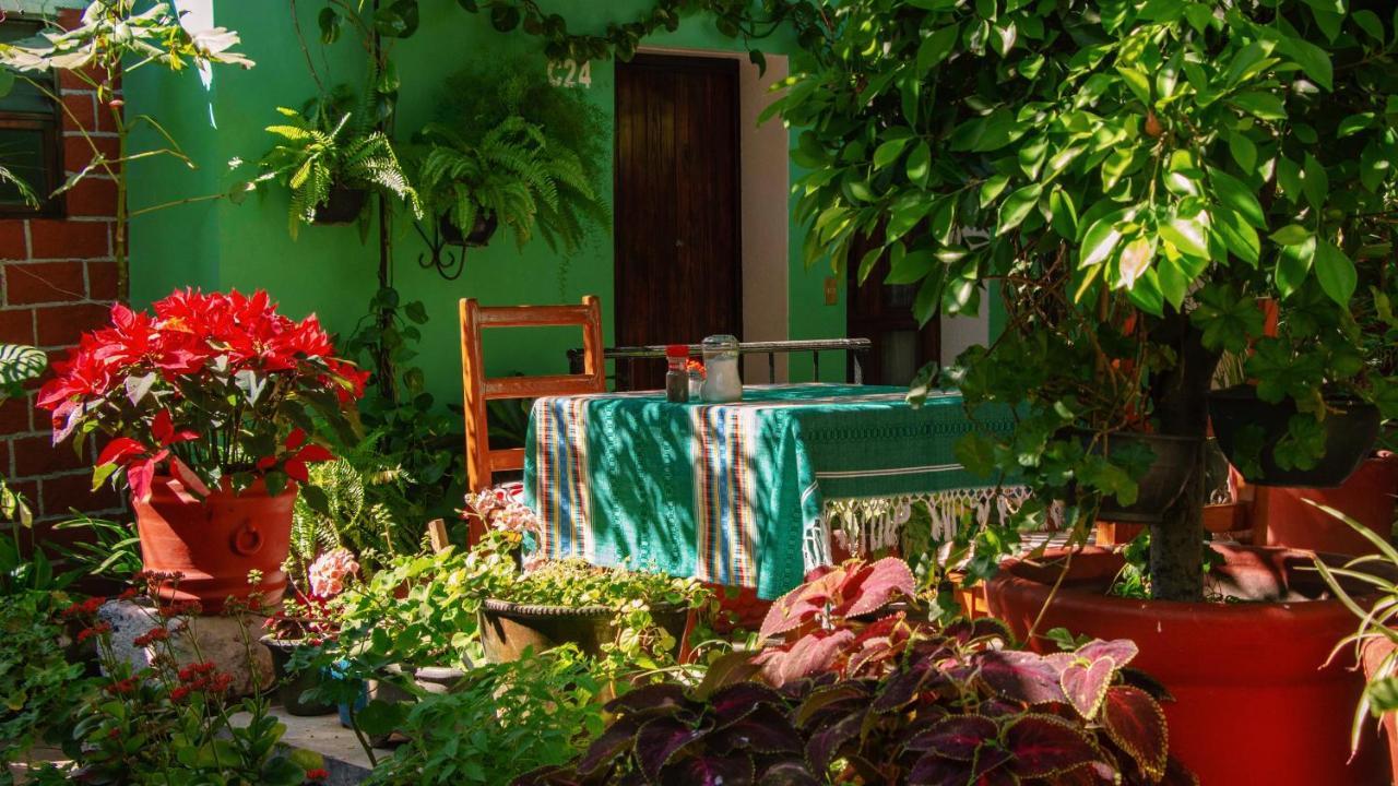 Hotel Las Golondrinas オアハカ州 エクステリア 写真