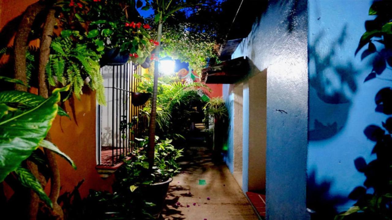 Hotel Las Golondrinas オアハカ州 エクステリア 写真