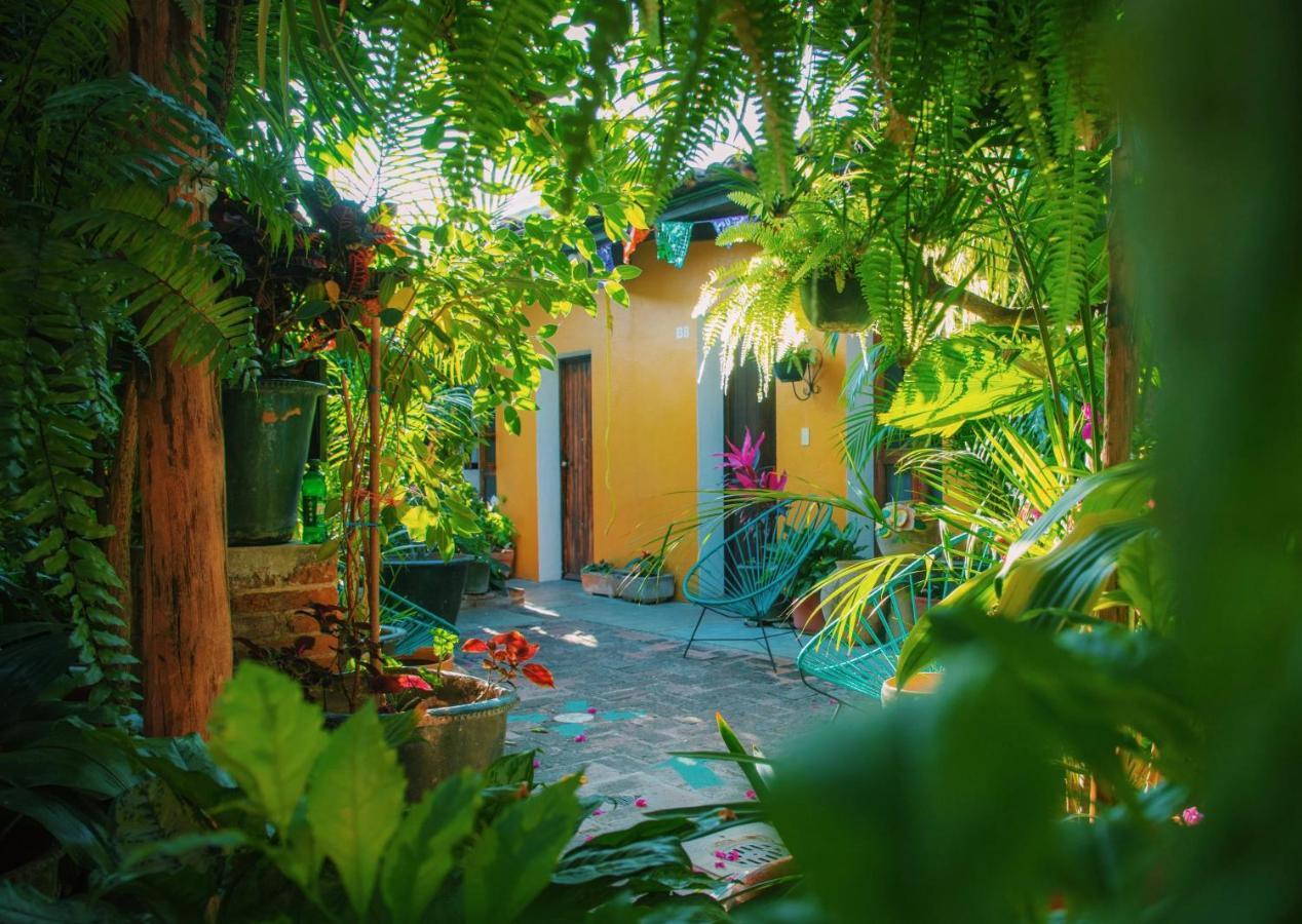 Hotel Las Golondrinas オアハカ州 エクステリア 写真