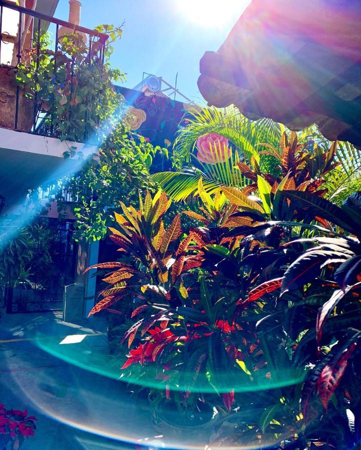 Hotel Las Golondrinas オアハカ州 エクステリア 写真