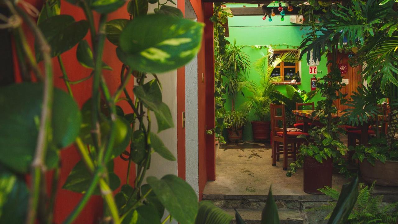Hotel Las Golondrinas オアハカ州 エクステリア 写真