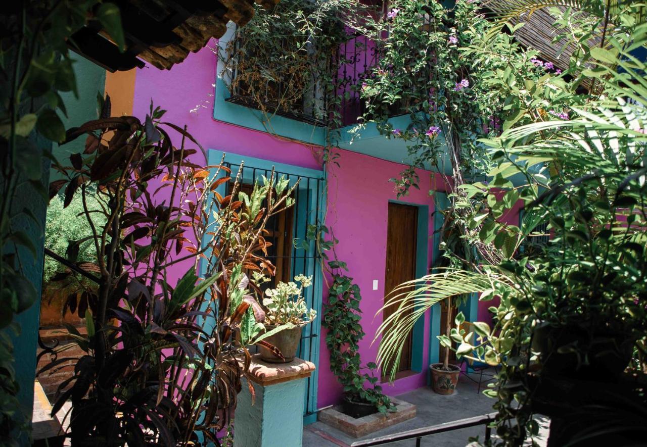 Hotel Las Golondrinas オアハカ州 エクステリア 写真