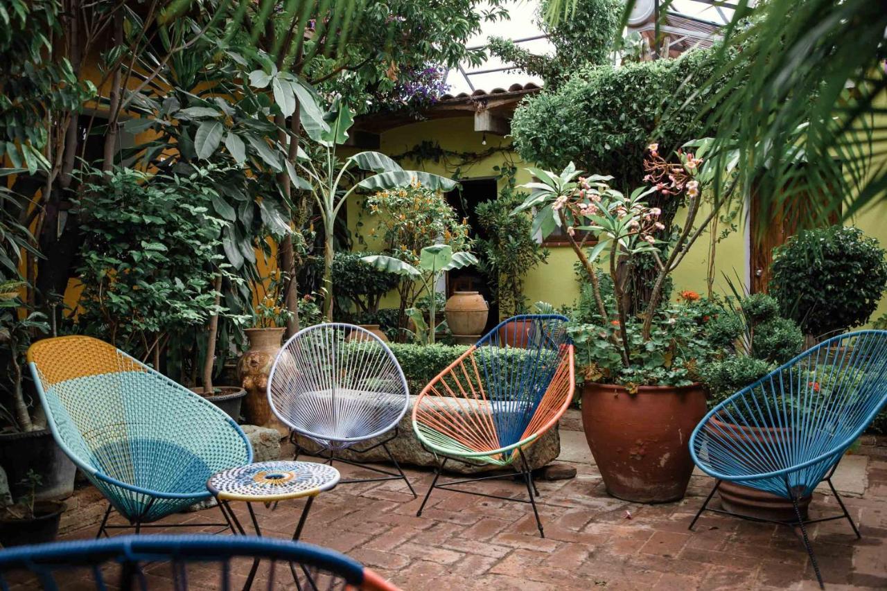 Hotel Las Golondrinas オアハカ州 エクステリア 写真