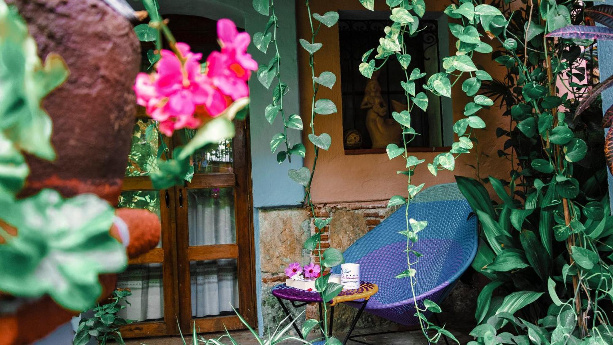 Hotel Las Golondrinas オアハカ州 エクステリア 写真