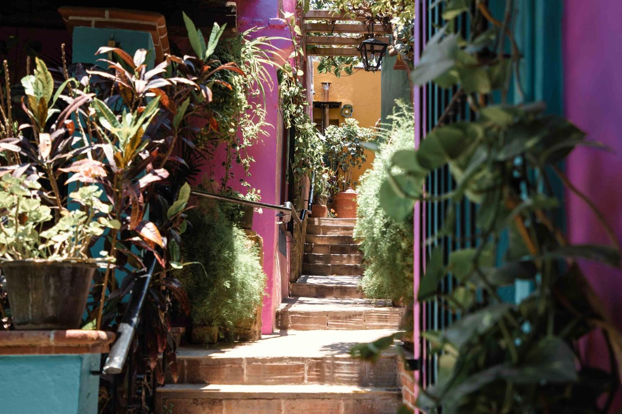 Hotel Las Golondrinas オアハカ州 エクステリア 写真