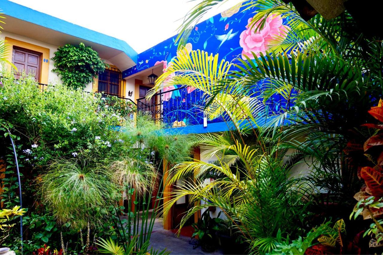 Hotel Las Golondrinas オアハカ州 エクステリア 写真