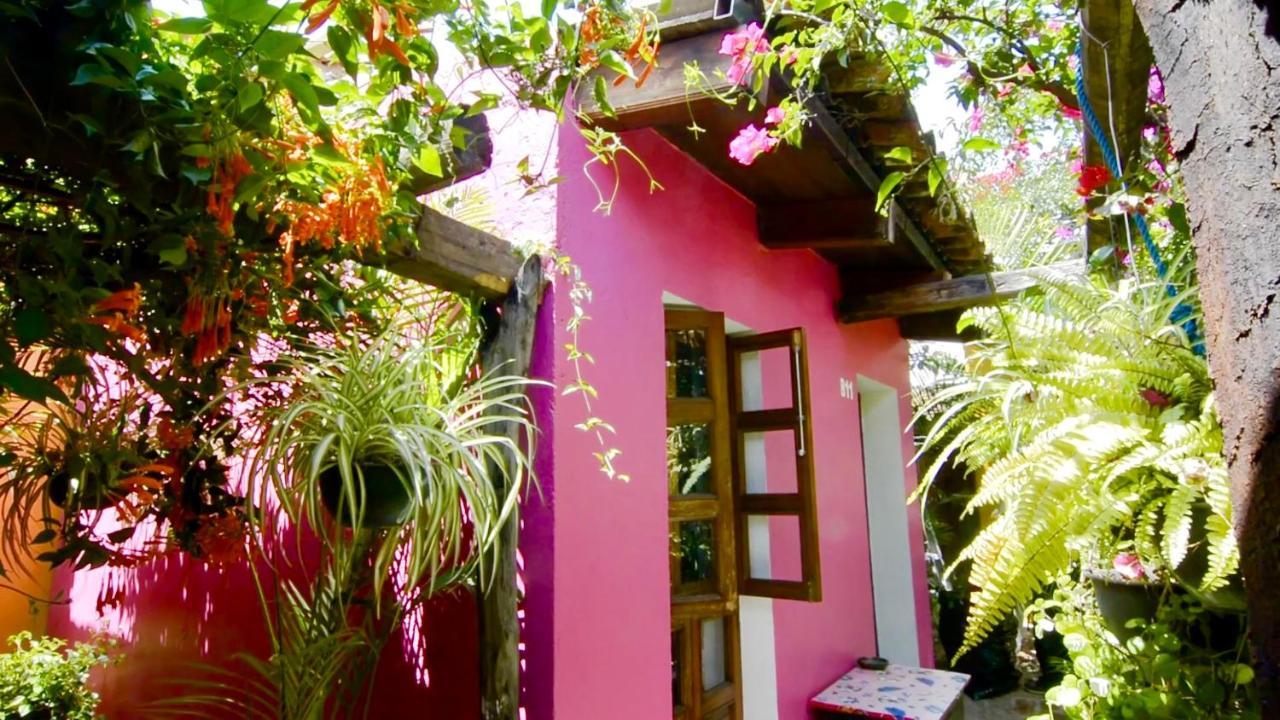 Hotel Las Golondrinas オアハカ州 エクステリア 写真