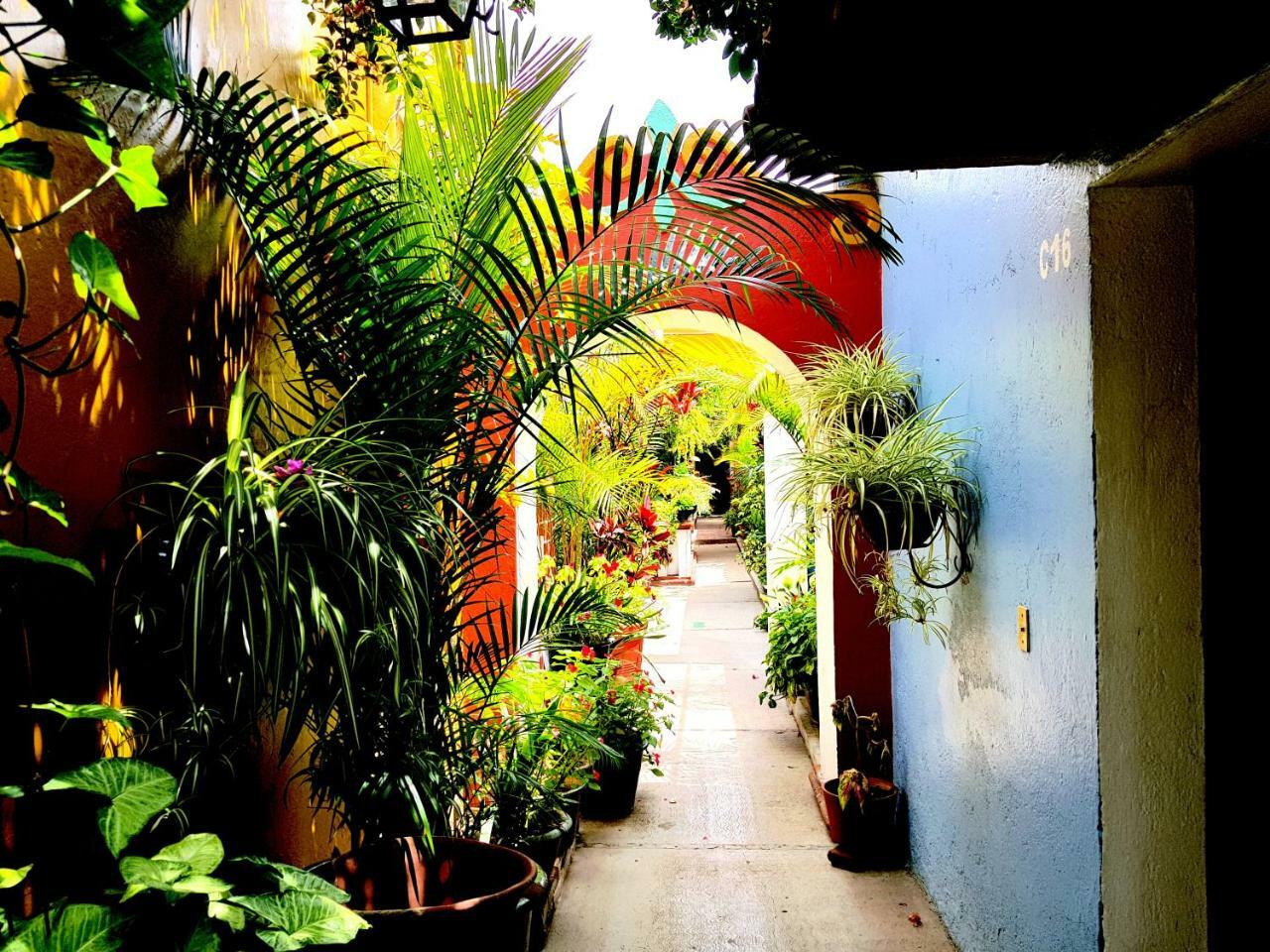 Hotel Las Golondrinas オアハカ州 エクステリア 写真